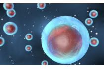 1.5 - The Origin of Cells