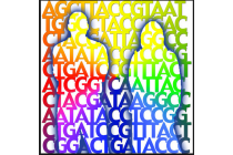 Topic 3 - Genetics